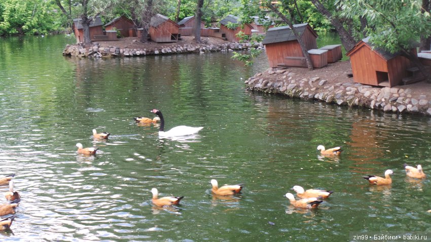 Московский Зоопарк, прогулка