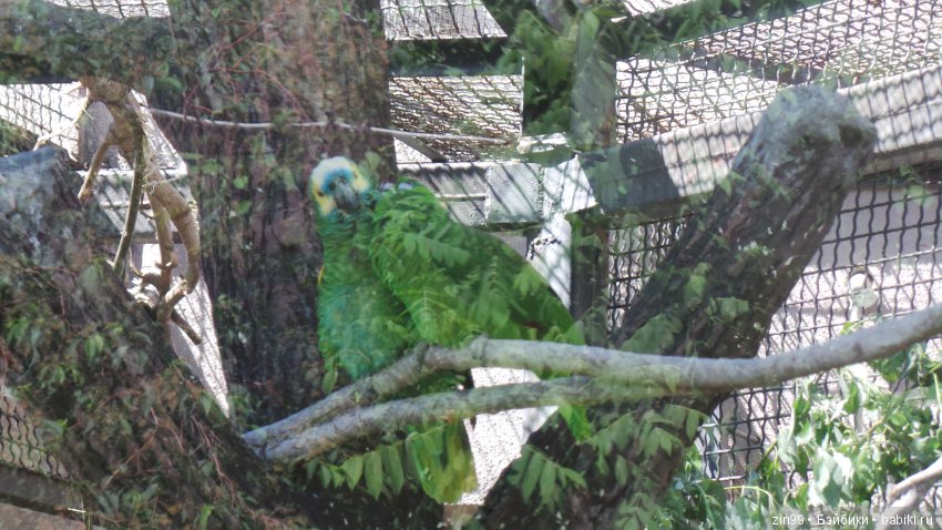 Московский Зоопарк, прогулка