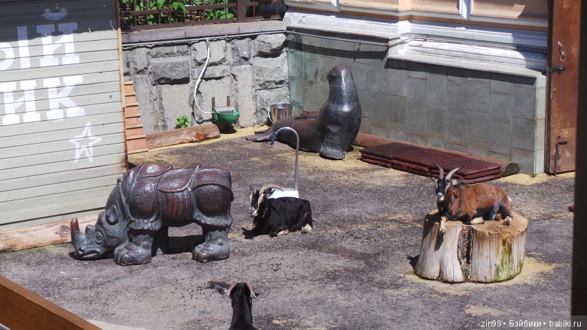 Московский Зоопарк, прогулка