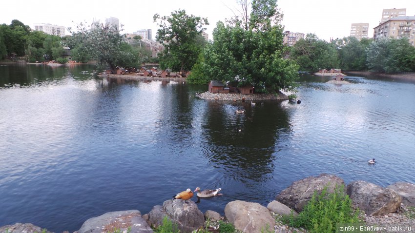 Московский Зоопарк, прогулка (фото 3)