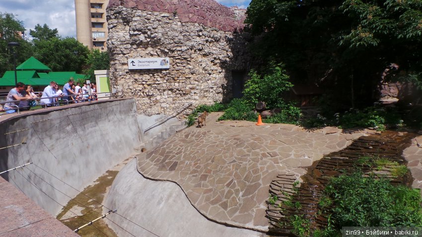 Московский Зоопарк, прогулка