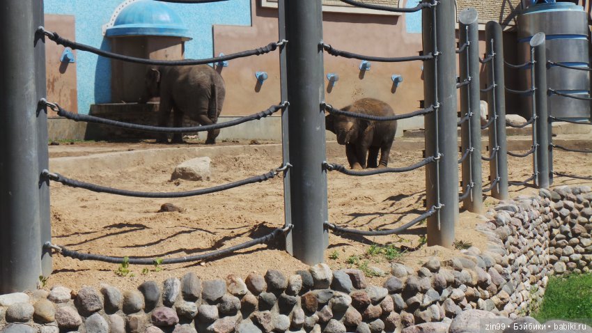 Московский Зоопарк, прогулка