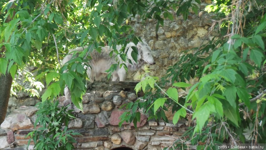 Московский Зоопарк, прогулка