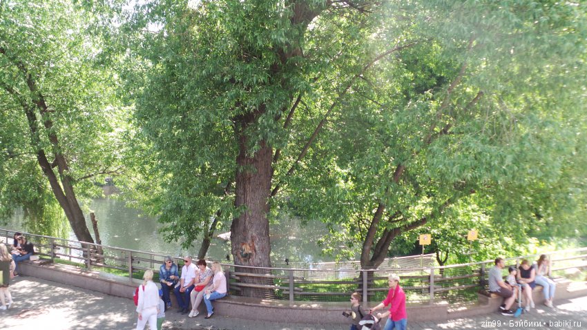 Московский Зоопарк, прогулка