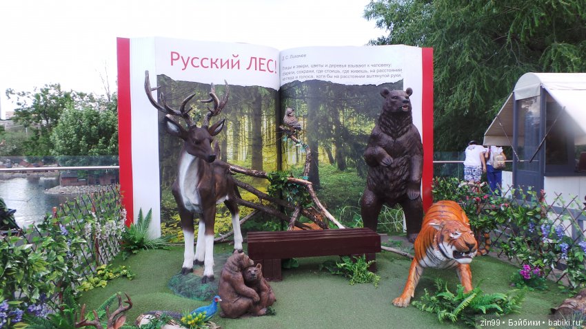 Московский Зоопарк, прогулка (фото 2)