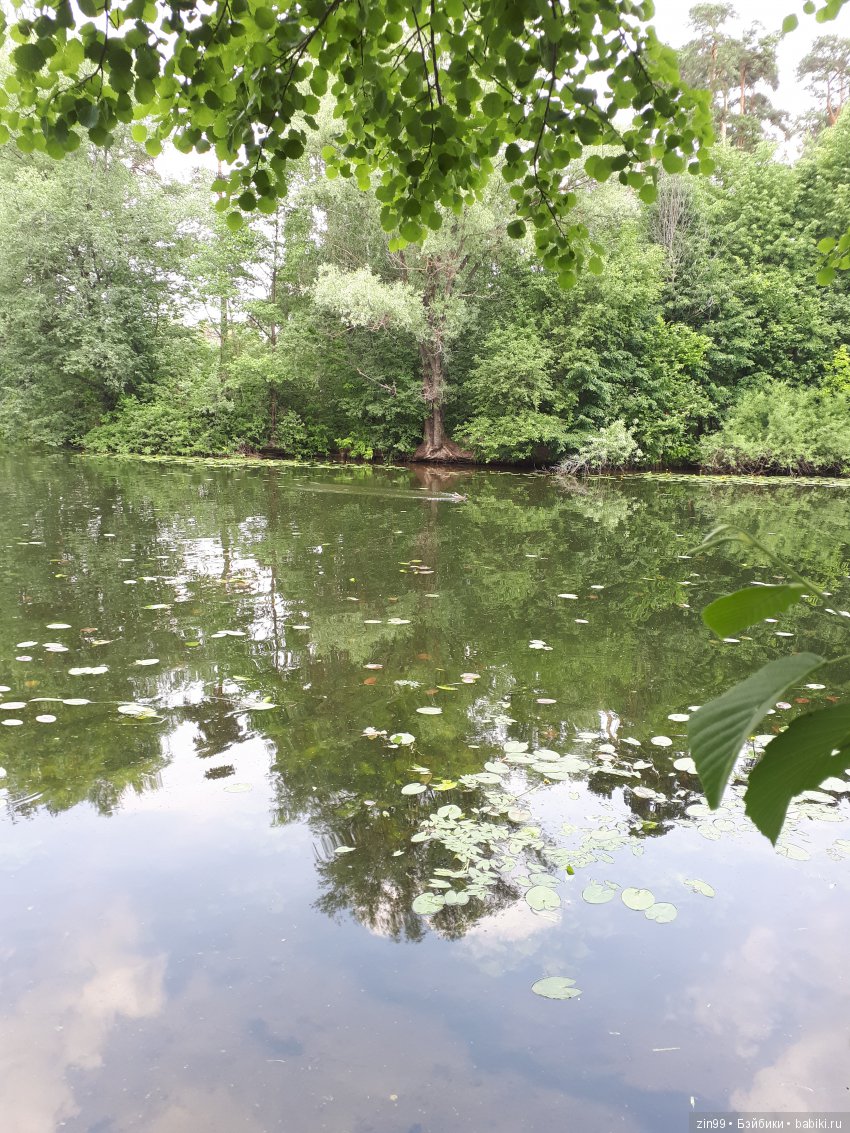 Кукла-сюрприз загадка-Hairdorables