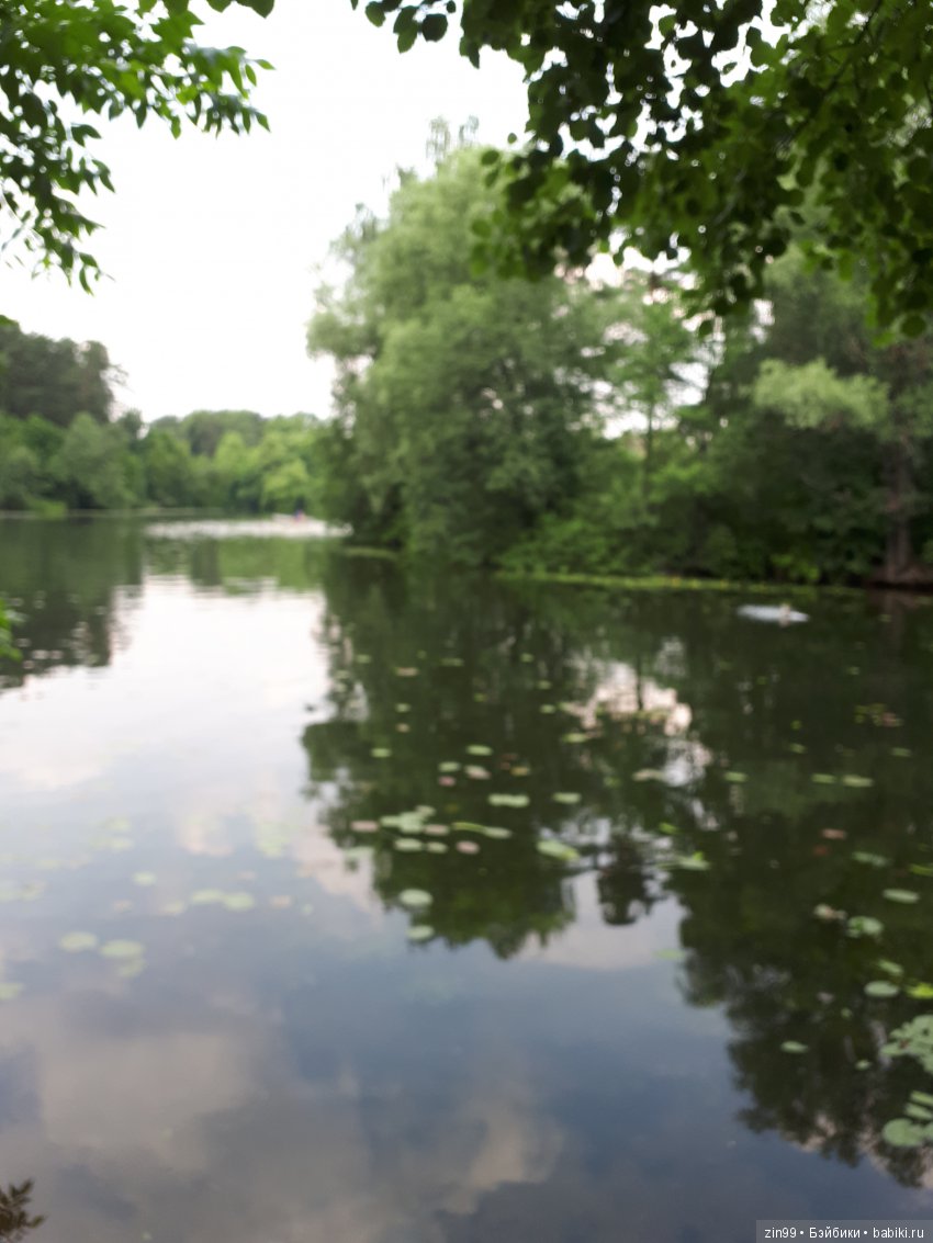 Кукла-сюрприз загадка-Hairdorables