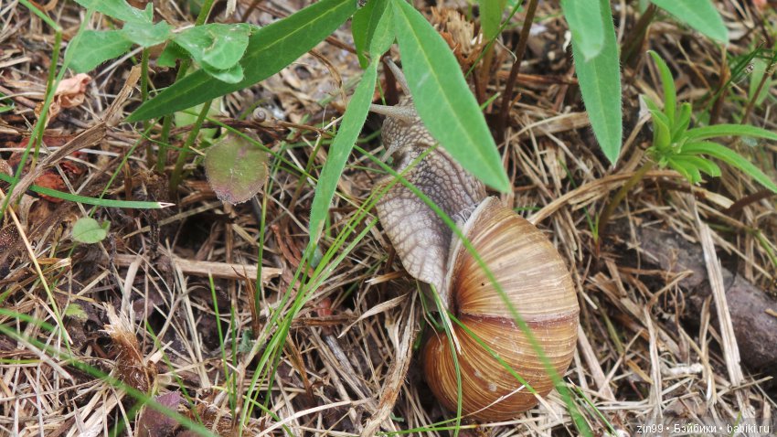 Ура! Дача! УДачный день, вдвойне