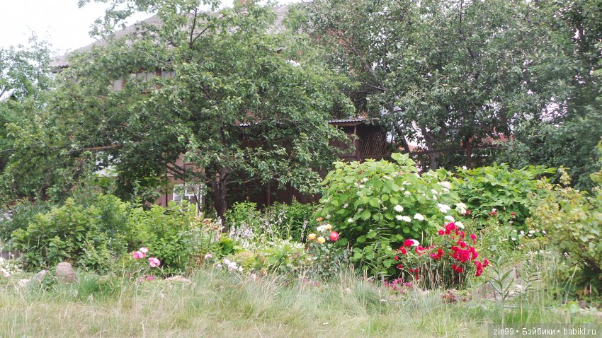 Ура! Дача! УДачный день, вдвойне