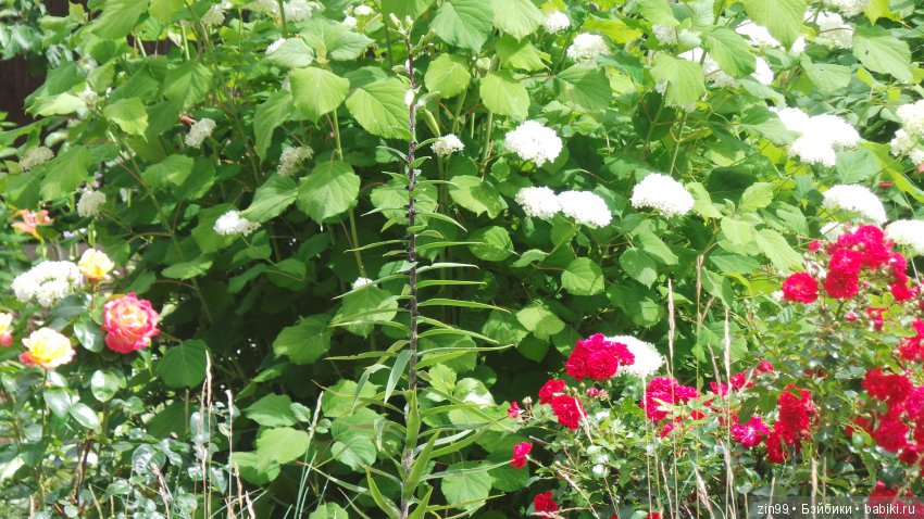 Ура! Дача! УДачный день, вдвойне