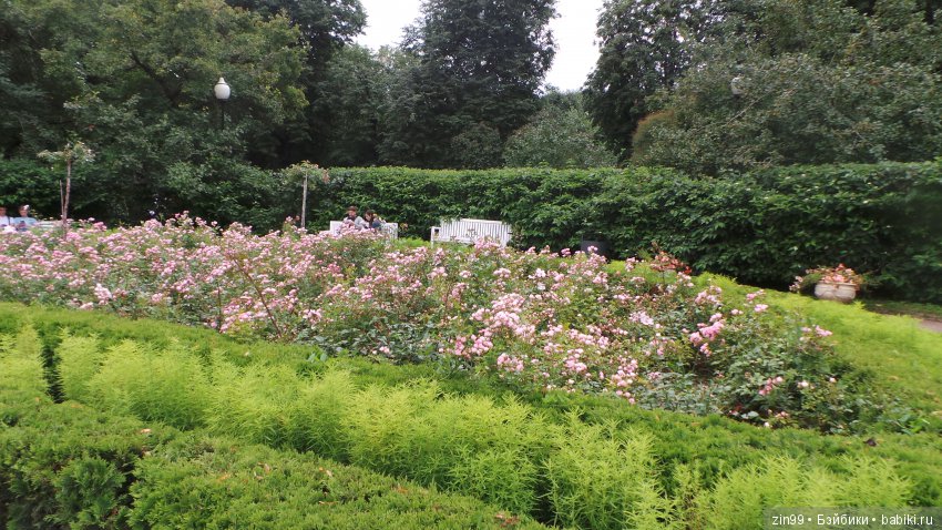 Прогулка в большой Торговый центр и в Центральный парк! С капустками