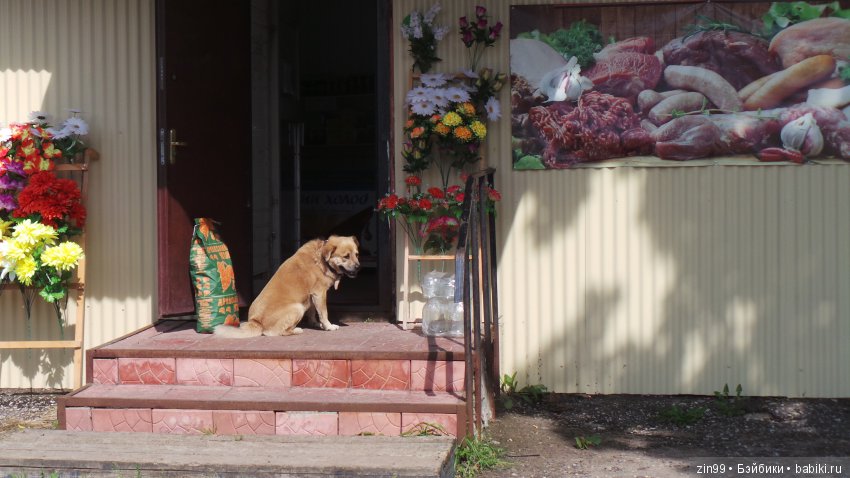 Город Электроугли и не только