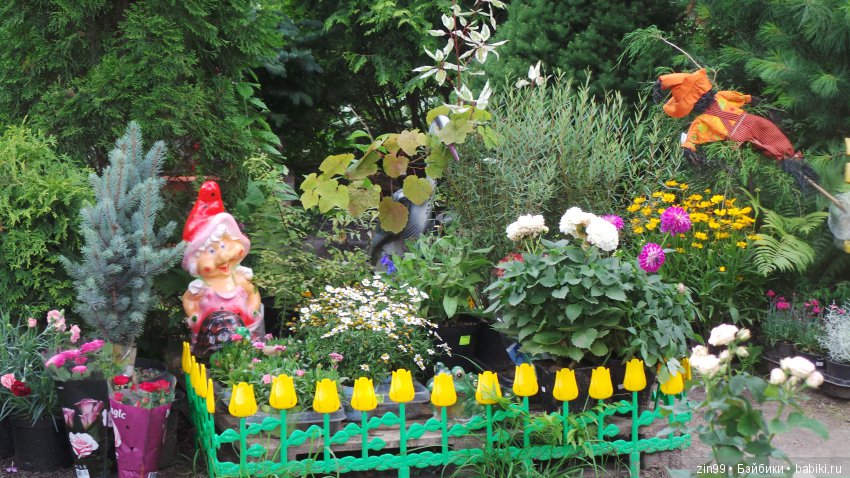 Город Электроугли и не только