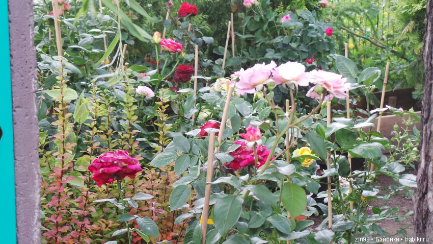 Город Электроугли и не только