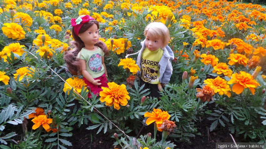 Город Электроугли и не только