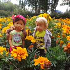 Город Электроугли и не только