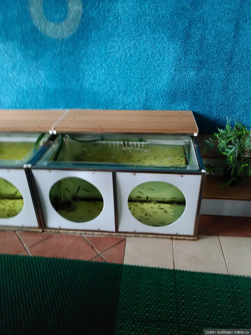 Аквапарк Карибия! Вместе с капустками