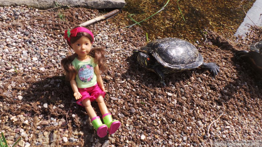 Прогулка по Ботаническому саду, а точнее по Аптекарскому Огороду