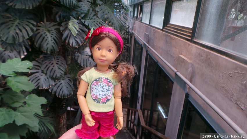 Прогулка по Ботаническому саду, а точнее по Аптекарскому Огороду