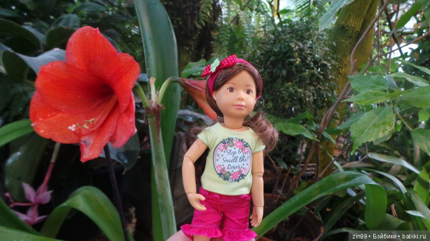 Прогулка по Ботаническому саду, а точнее по Аптекарскому Огороду