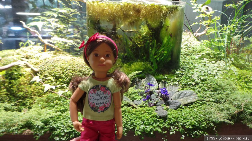 Прогулка по Ботаническому саду, а точнее по Аптекарскому Огороду