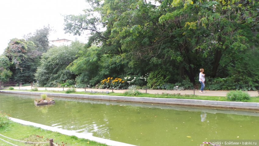 Прогулка по Ботаническому саду, а точнее по Аптекарскому Огороду