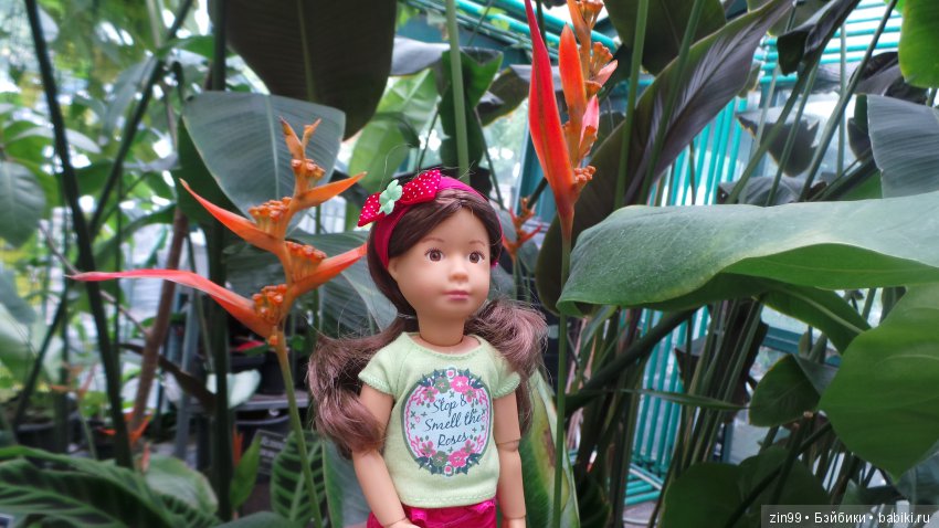 Прогулка по Ботаническому саду, а точнее по Аптекарскому Огороду