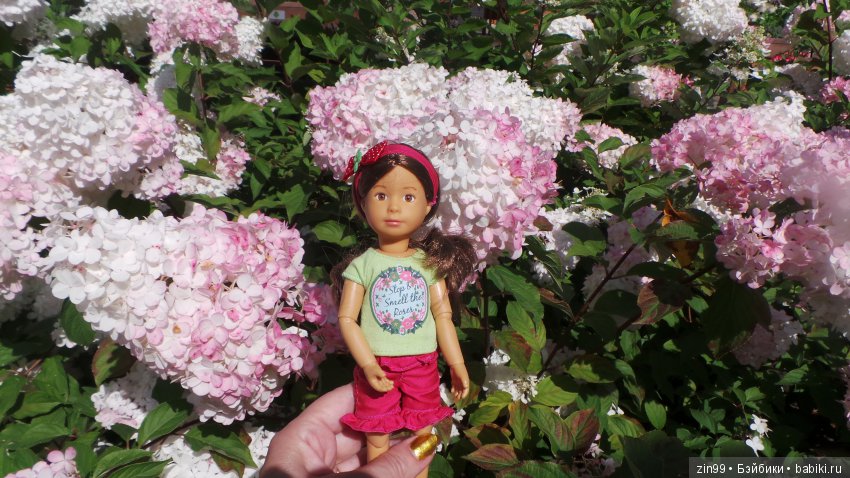 Прогулка по Ботаническому саду, а точнее по Аптекарскому Огороду