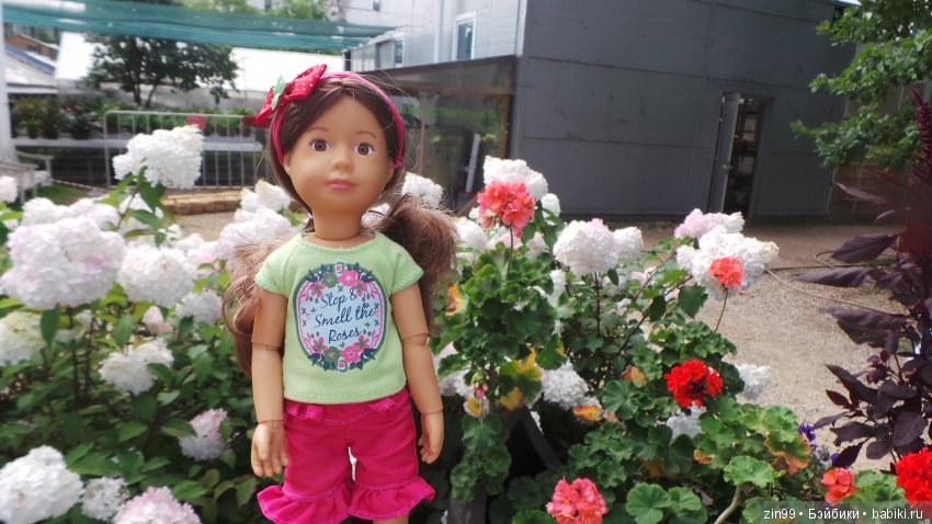 Прогулка по Ботаническому саду, а точнее по Аптекарскому Огороду