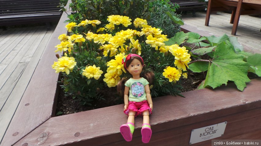 Прогулка по Ботаническому саду, а точнее по Аптекарскому Огороду