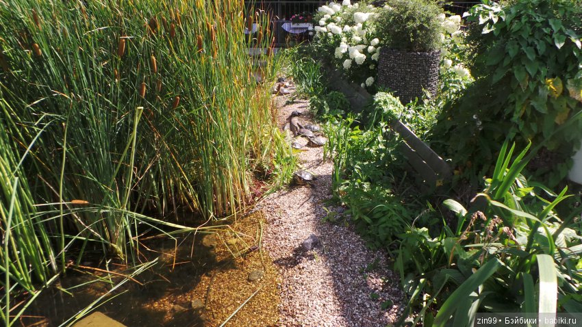 Прогулка по Ботаническому саду, а точнее по Аптекарскому Огороду