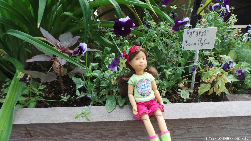 Прогулка по Ботаническому саду, а точнее по Аптекарскому Огороду