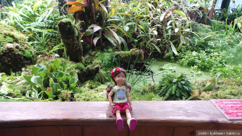 Прогулка по Ботаническому саду, а точнее по Аптекарскому Огороду