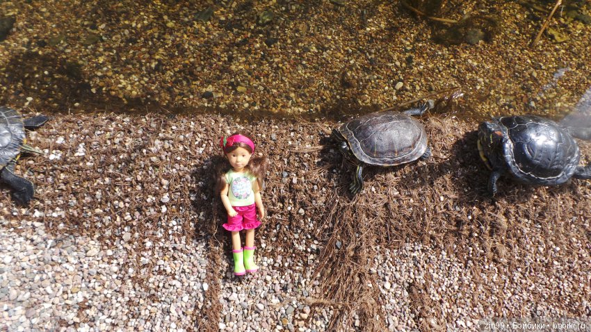 Прогулка по Ботаническому саду, а точнее по Аптекарскому Огороду