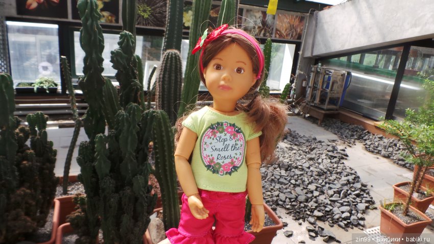 Прогулка по Ботаническому саду, а точнее по Аптекарскому Огороду