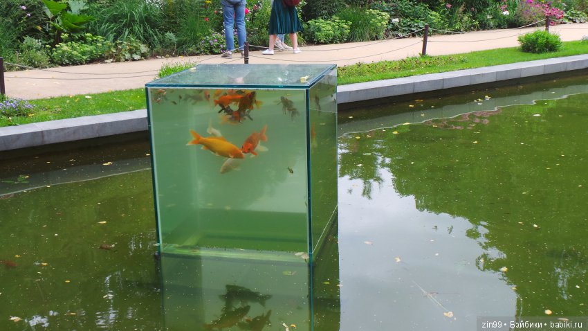 Прогулка по Ботаническому саду, а точнее по Аптекарскому Огороду