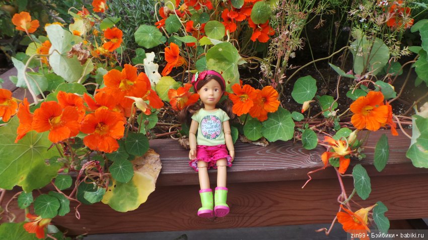 Прогулка по Ботаническому саду, а точнее по Аптекарскому Огороду