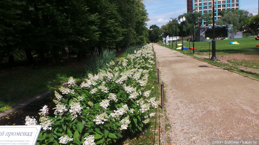 Прогулка по Ботаническому саду, а точнее по Аптекарскому Огороду