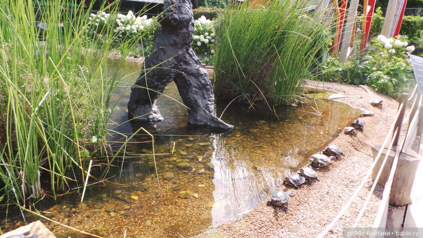 Прогулка по Ботаническому саду, а точнее по Аптекарскому Огороду