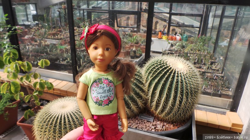 Прогулка по Ботаническому саду, а точнее по Аптекарскому Огороду