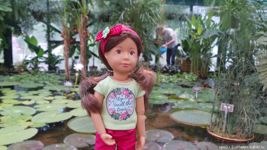 Прогулка по Ботаническому саду, а точнее по Аптекарскому Огороду