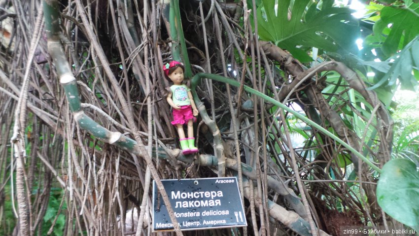 Прогулка по Ботаническому саду, а точнее по Аптекарскому Огороду