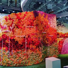 «Золотая осень – 2019» проходить будет 9-12 октября на ВДНХ,75 павильон и шатры