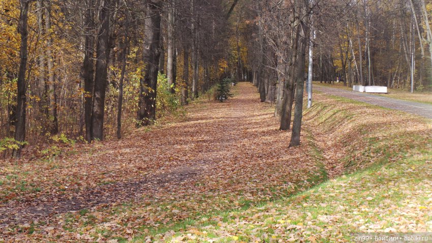 Натали гуляет в парке и новые наряды