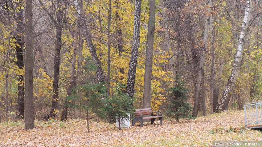 Натали гуляет в парке и новые наряды