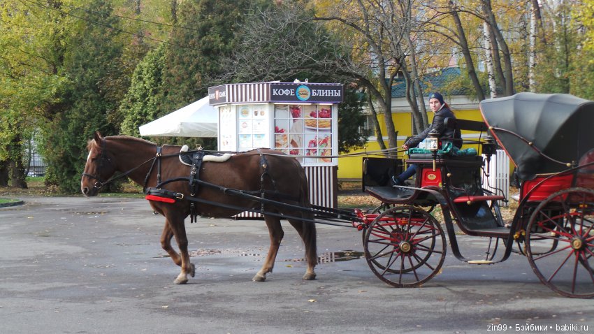 Натали гуляет в парке и новые наряды