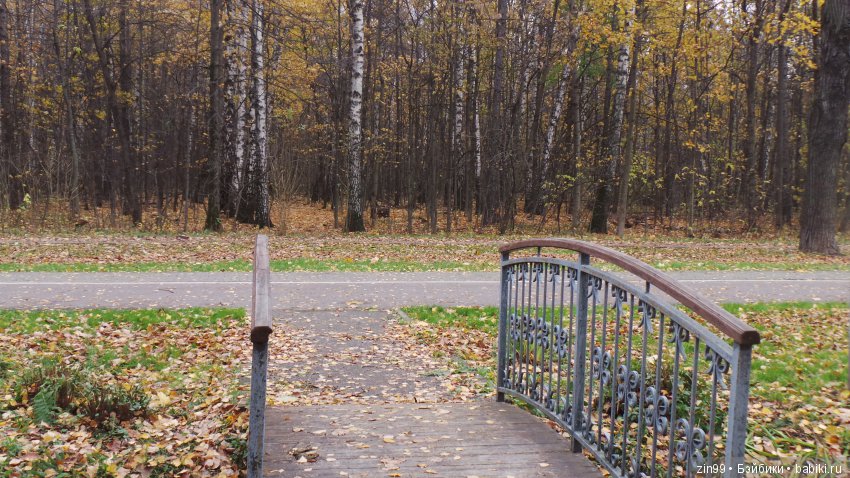 Натали гуляет в парке и новые наряды (фото 4)