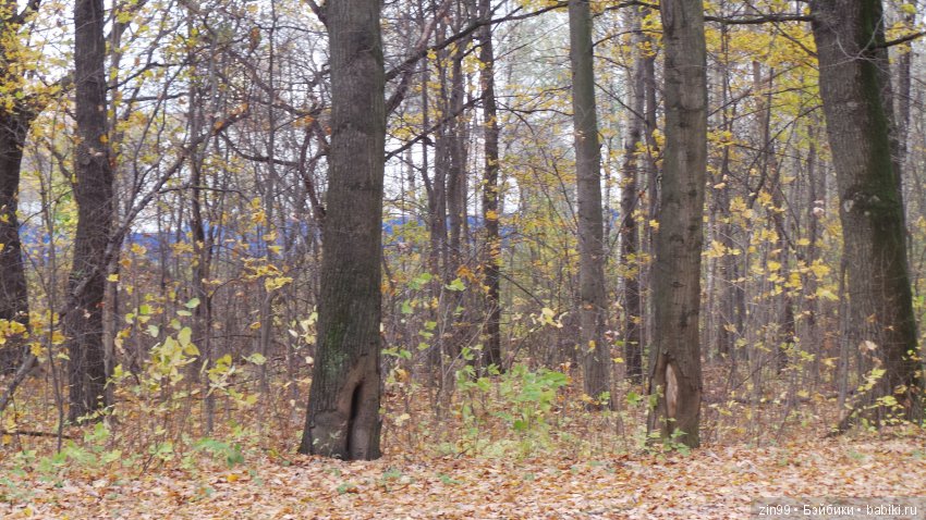 Натали гуляет в парке и новые наряды