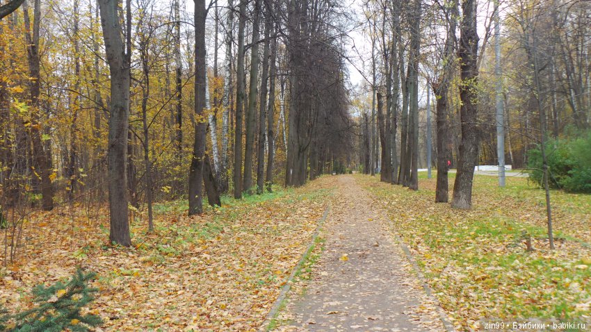 Натали гуляет в парке и новые наряды