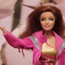 Приключения неутомимой